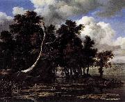 Oaks by a Lake with Waterlilies Jacob Isaacksz. van Ruisdael